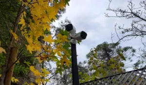 mantenimiento camaras seguridad macul
